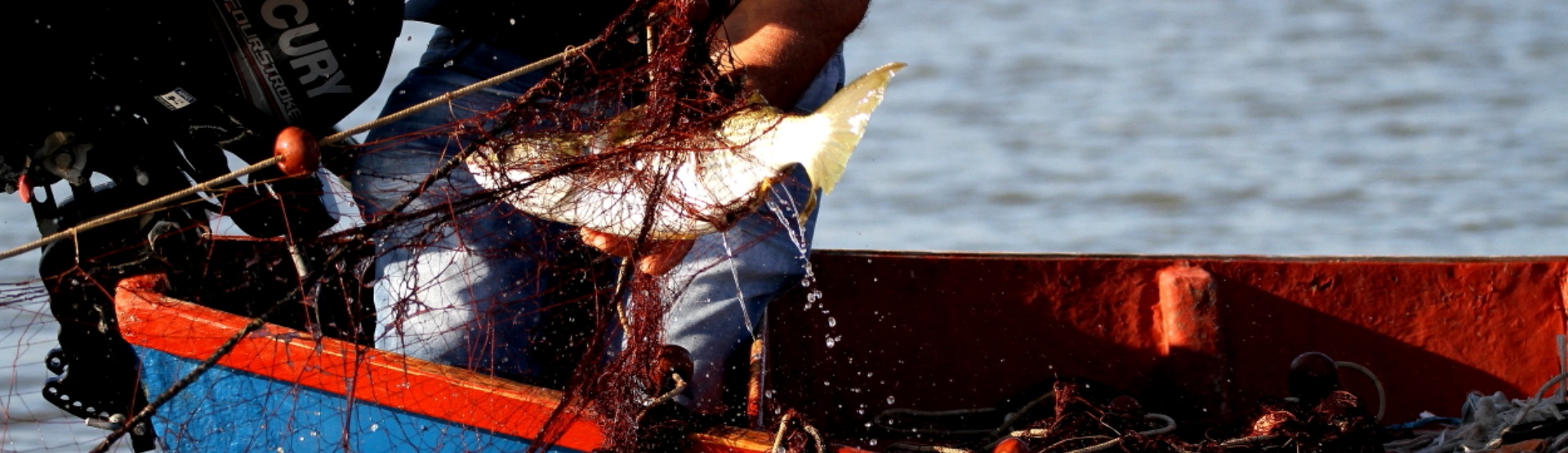 la pesca in laguna