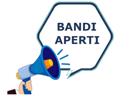 Bando per la formazione delle graduatorie per la concessione di contributi a favore degli assegnatari di alloggi di edilizia residenziale pubblica (ERP)