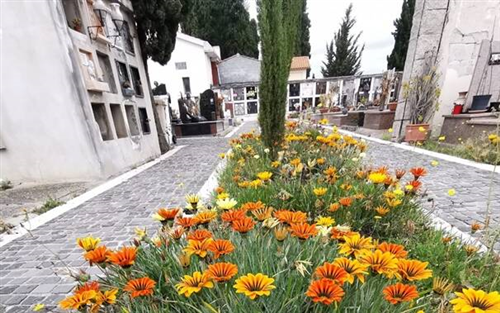 Orario del cimitero in occasione delle Festività di Santa Giusta
